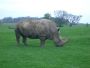 Woburn Abbey - 28 April 2005