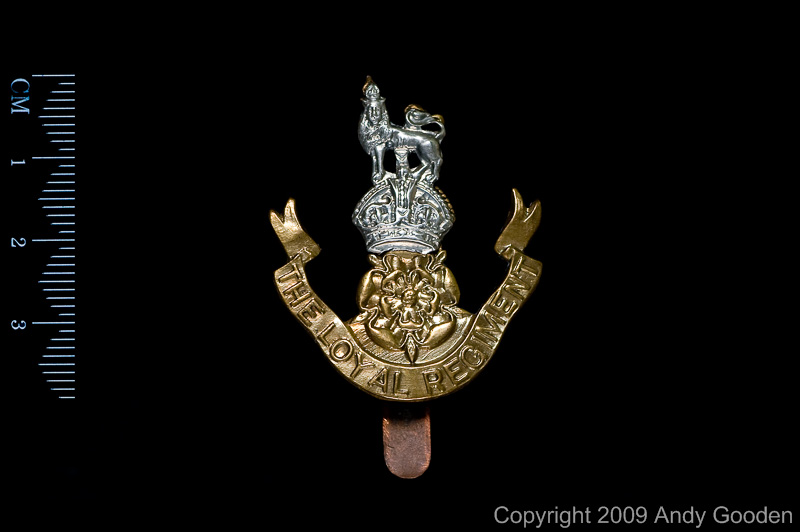 Andy Gooden - Military Badges