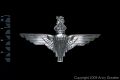 <b>Parachute Regiment (King's Crown)</b><br />The Parachute Regiment is the Airborne Infantry element of the British Army and it forms the parachute infantry element of 16 Air Assault Brigade.<br>On 22 June 1940, Winston Churchill called for the formation of an elite Corps of troops for the British Army and the Parachute Regiment was born.