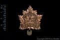 <b>Canadian Expeditionary Force</b><br />The Canadian Expeditionary Force was the designation of the field force created by Canada for service overseas in the First World War.<br>The C.E.F. eventually numbered 260 numbered infantry battalions, two named infantry battalions (The Royal Canadian Regiment and Princess Patricia's Canadian Light Infantry), 13 mounted rifle regiments, 13 railway troop battalions, 5 pioneer battalions, as well as numerous ancillary units including field and heavy artillery batteries, ambulance, medical, dental, forestry, labour, tunnelling, cyclist, and service units.<br>After 1918, it was decided that units of the C.E.F. would be disbanded, and that the Militia would be reorganized. Individual units of the Canadian Militia were permitted to perpetuate the battle honours and histories of the C.E.F. units that had actually fought the war.