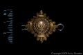 <b>Officer's Shoulder Pip (Brass)</b><br />